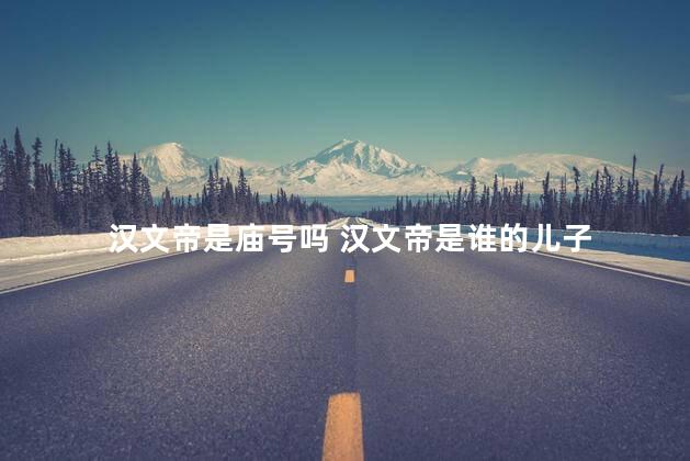 汉文帝是庙号吗 汉文帝是谁的儿子